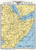 005336