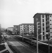 005861