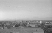 006064